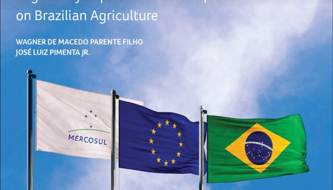 Novos_anexos_Mercosul_EN