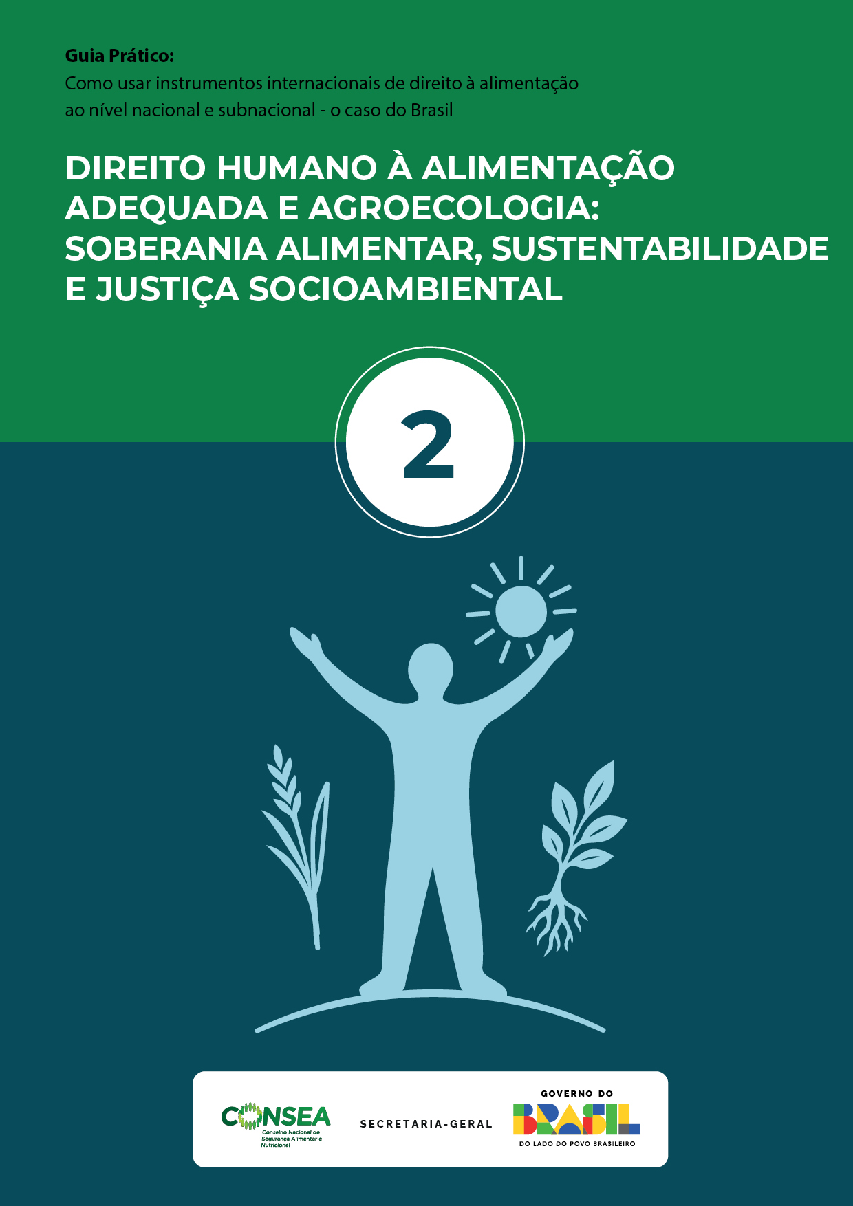 Guia Prático: Como usar instrumentos internacionais de direito à alimentação ao nível nacional e subnacional – o caso do Brasil –