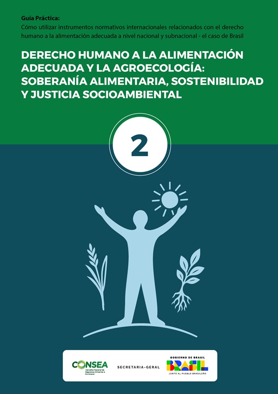 Guía Práctica: Cómo Utilizar Instrumentos Normativos Internacionales Relacionados con el Derecho Humano a la Alimentación Adecuada a Nivel Nacional y Subnacional – El Caso de Brasil